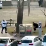 La câteva ore după tragedia de la Sydney, un cimitir musulman a fost profanat