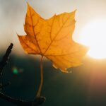 Vremea se încălzește în următoarele zile. Când se va răci din nou