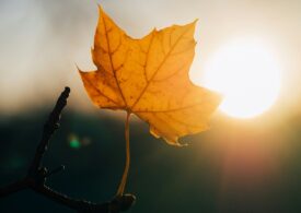 Vremea se încălzește în următoarele zile. Când se va răci din nou