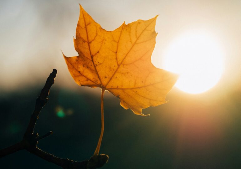 Vremea se încălzește în următoarele zile. Când se va răci din nou