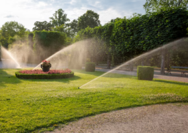 Cum îți transformi pasiunea pentru irigații într-o afacere profitabilă în doar 7 săptămâni. Școala de Irigații, programul care îi formează pe instalatorii profesioniști ai generației noi