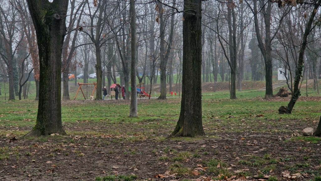 oameni cu caini in parc