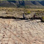 Locul din lume unde s-au găsit cele mai multe urme de dinozauri