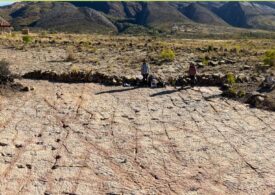Locul din lume unde s-au găsit cele mai multe urme de dinozauri