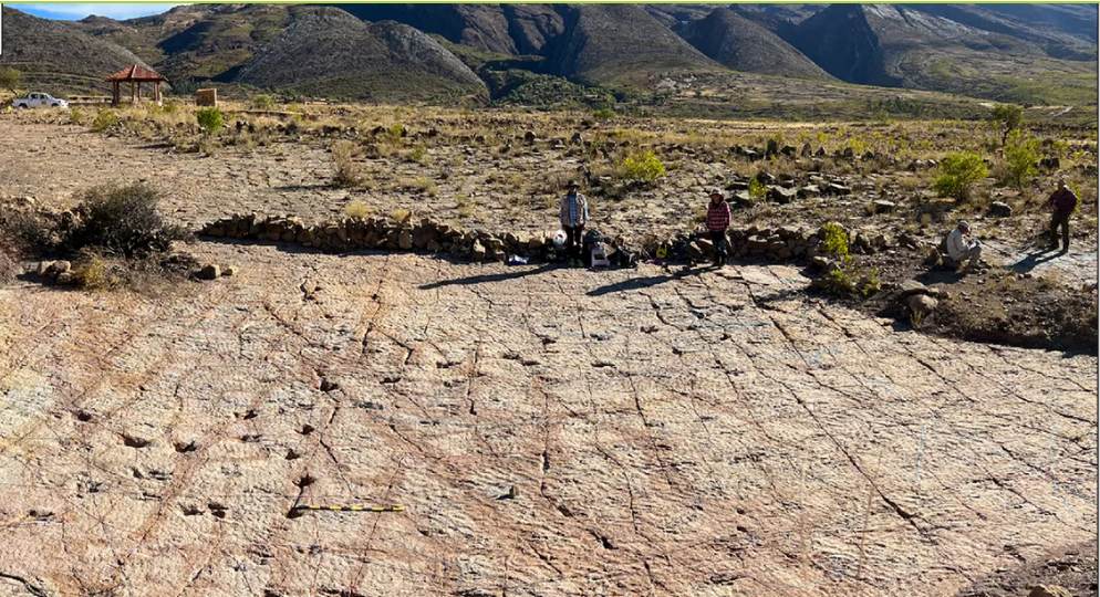 Locul din lume unde s-au găsit cele mai multe urme de dinozauri