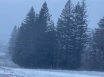 Avertizare meteo: Cod galben de vânt în mai multe regiuni (Harta)