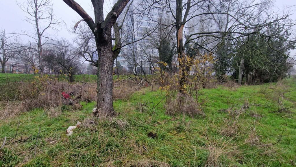 zona privata PArcul Verdi