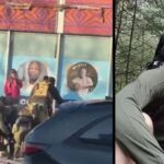 Tensiuni maxime în Minneapolis, după ce un localnic de 37 de ani, asistent medical, a fost împușcat mortal de agenții anti-imigrație (Video)