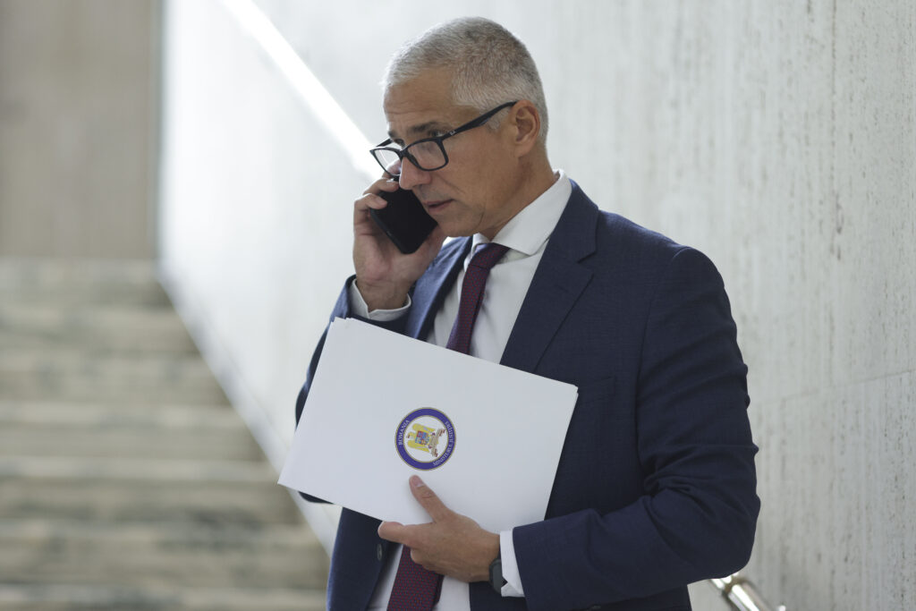 Radu marinescu, plagiat