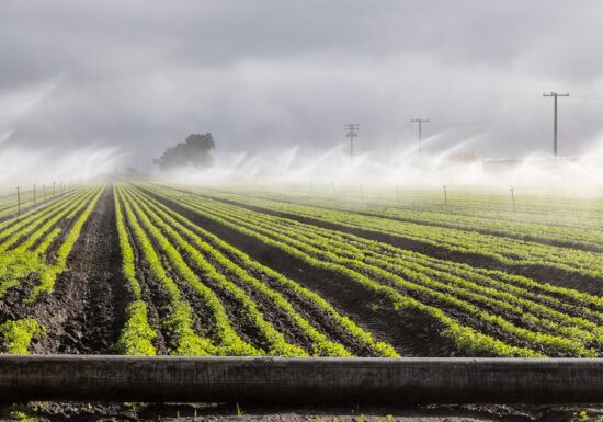 De ce terenurile agricole din România au devenit mai scumpe decât cele din Franța?