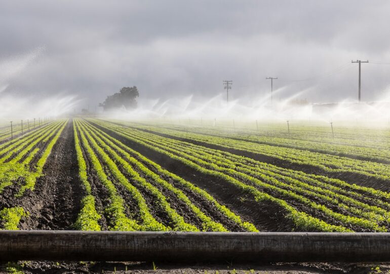 De ce terenurile agricole din România au devenit mai scumpe decât cele din Franța?