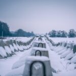 Polonia își arată „dinții de dragon” cu care vrea să oprească o invazie a Rusiei (Foto)