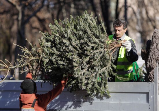 Unde arunci bradul după Sărbători ca să eviți amenzile