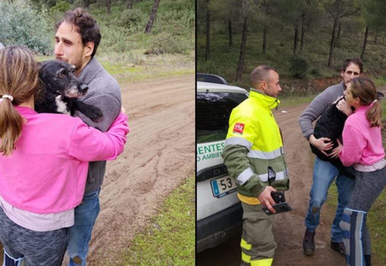 Bilanțul catastrofei feroviare din Spania a ajuns la 45 de morți. Un câine dispărut a fost salvat după patru zile (Video)