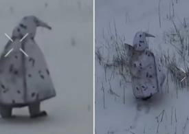 Soldați ruși camuflați în pinguini. Cum s-au dat rapid de gol (Video)