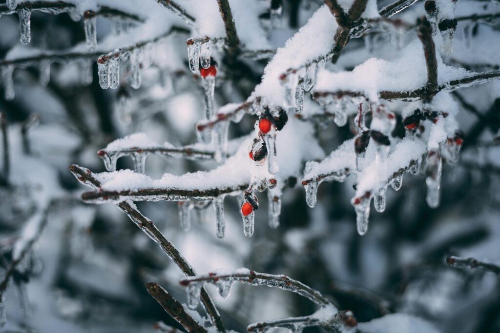 Gerul nu pleacă nicăieri. Cinci avertizări meteo succesive, cu nopți de -20°C și zile sub zero: Hărțile frigului
