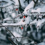 Gerul nu pleacă nicăieri. Cinci avertizări meteo succesive, cu nopți de -20°C și zile sub zero: Hărțile frigului