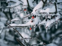 Alertă meteo: Ninsori, polei și vânt puternic. Temperaturile scad până la minus 15°C