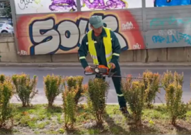 Ca la Versailles, dar în București: cum se fac parcuri pentru generații, nu pentru mandate