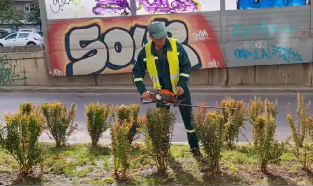 muncitor de la Versaiiles