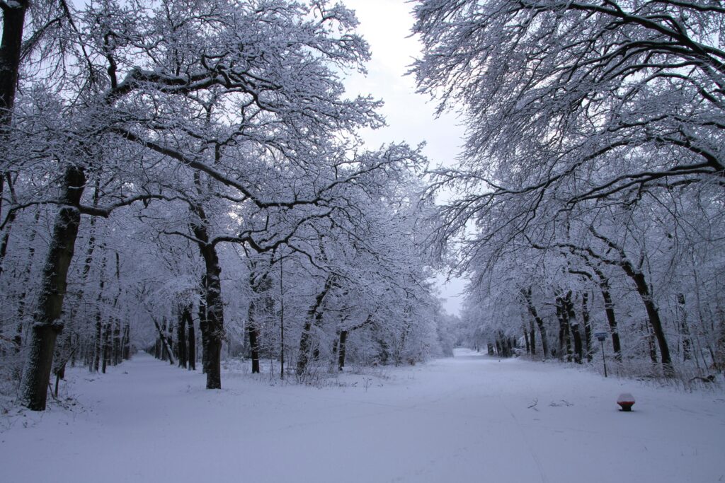 Meteorologii anunță când scăpăm de ninsori și începe să se încălzească