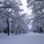 Meteorologii anunță când scăpăm de ninsori și începe să se încălzească