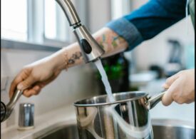 De ce nitrații din apa potabilă sunt mult mai periculoși decât cei din legume. Pentru prima oară au fost asociați cu demența