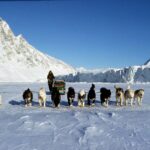 Patrulele cu sănii trase de câini din Groenlanda ironizate de Trump sunt veritabile unități de elită