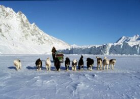 Patrulele cu sănii trase de câini din Groenlanda ironizate de Trump sunt veritabile unități de elită