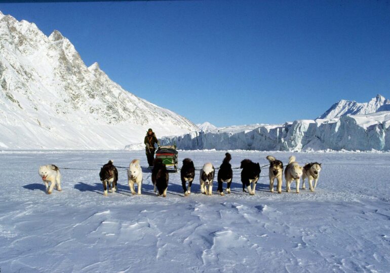 Patrulele cu sănii trase de câini din Groenlanda ironizate de Trump sunt veritabile unități de elită