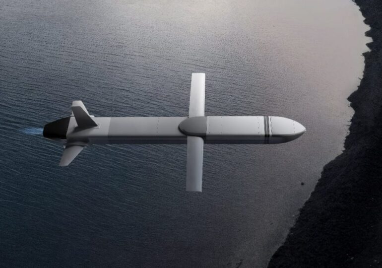 Două arme noi pentru Ucraina: O rachetă de croazieră creată de compania unui rus și o dronă pe hidrogen