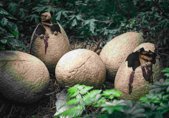 Povestea ultimelor zile ale dinozaurilor tocmai a fost rescrisă