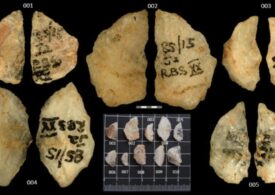 A fost descoperită cea mai veche dovadă a folosirii săgeților otrăvite