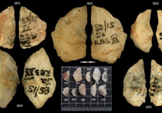 A fost descoperită cea mai veche dovadă a folosirii săgeților otrăvite