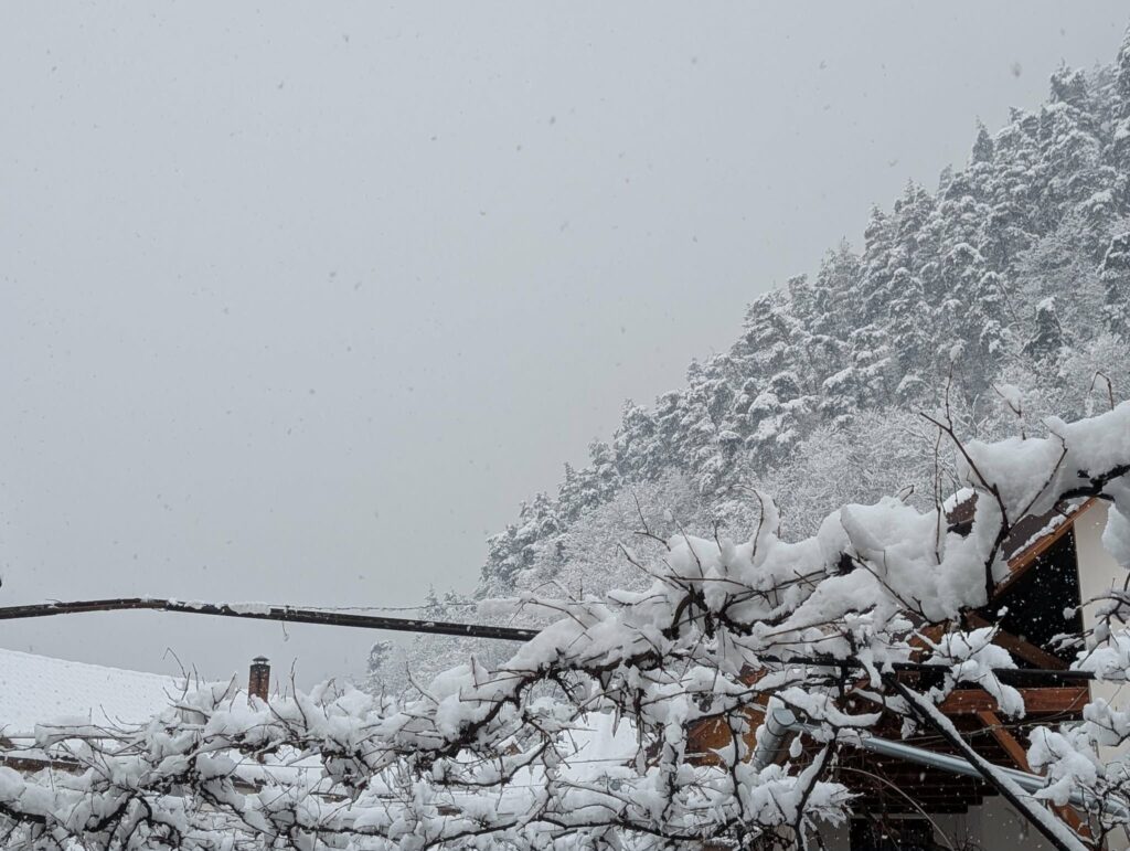 Ger de până la -15 grade și viscol: ANM a emis 8 avertizări meteo pentru toată țara
