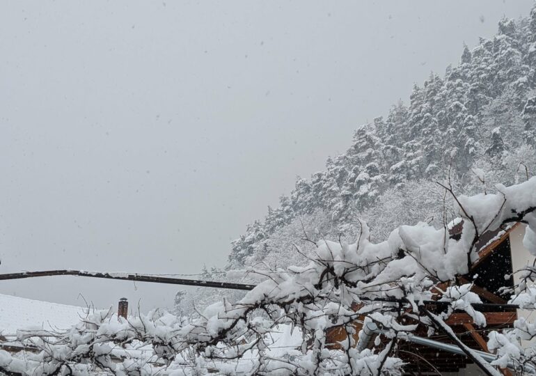 Ger de până la -15 grade și viscol: ANM a emis 8 avertizări meteo pentru toată țara