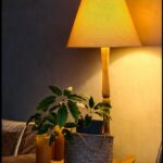 Este bine sau nu să punem zațul de cafea în ghivecele florilor? Ce spun specialiștii