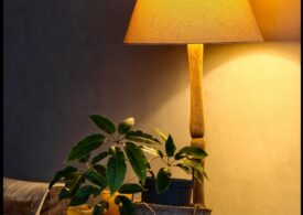 Este bine sau nu să punem zațul de cafea în ghivecele florilor? Ce spun specialiștii