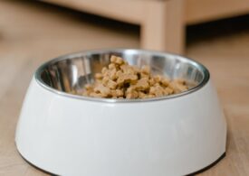 Ghid Geneza: cum îți organizezi cumpărăturile pentru animăluțul tău