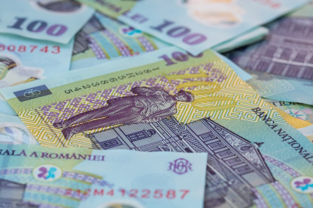 Lupta pentru a susține leul, în criza politică. A doua lună de scădere a rezervelor valutare