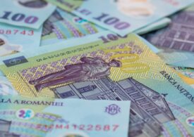 Lupta pentru a susține leul, în criza politică. A doua lună de scădere a rezervelor valutare