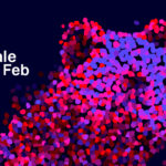 Berlinala 2026: „Yellow Letters”, de İlker Çatak, câștigă Ursul de Aur. Distincții pentru două filme românești. Lista completă a premiilor