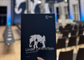 Conferința de Securitate de la München, la final: Europa nu e „decadentă”. Nu ne agățăm de SUA. Trebuie să producem mai mult. UE nu e gata pentru aderarea Ucrainei