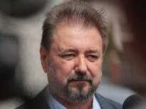 Cristian Pârvulescu, politolog