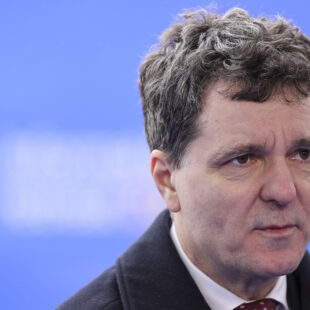 Nicușor Dan, România