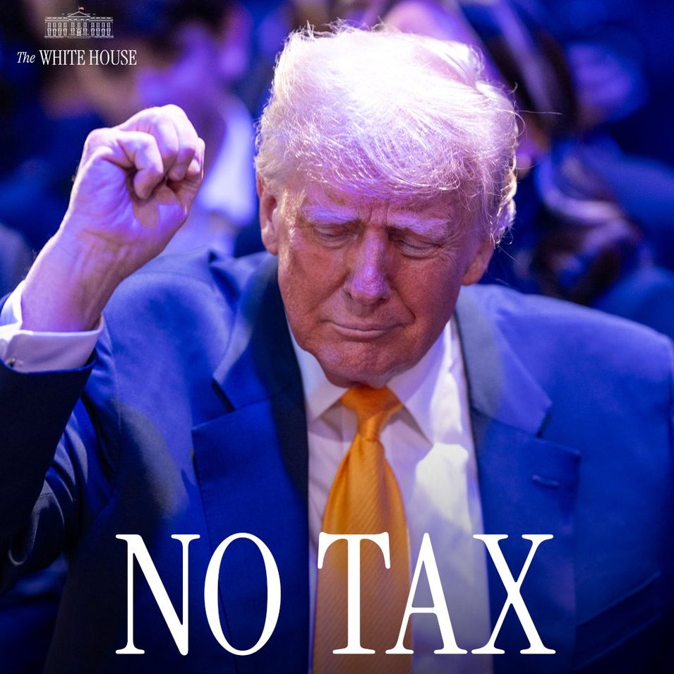 Trump Taxe