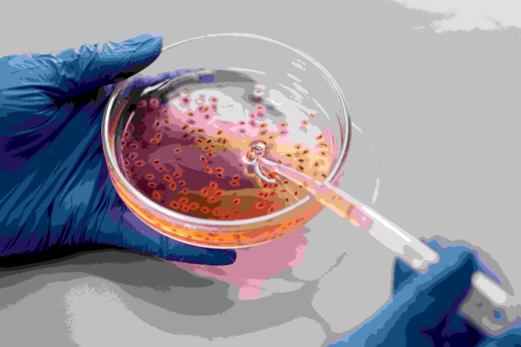 Bacterii modificate genetic, noua armă împotriva cancerului