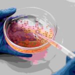 Bacterii modificate genetic, noua armă împotriva cancerului