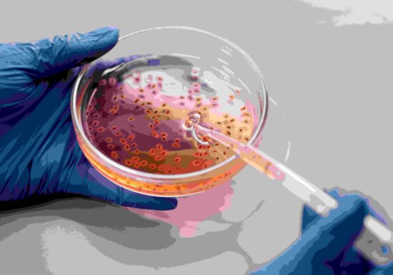 Bacterii modificate genetic să mănânce tumorile, următorul pas în lupta cu cancerul