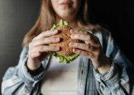 Salmonella și Campylobacter scapă de sub control: rezistența la antibiotice crește, unele tratamente deja nu mai funcționează